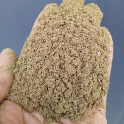 哪種91桃色下载安装設備可以對魚粉進行篩分？