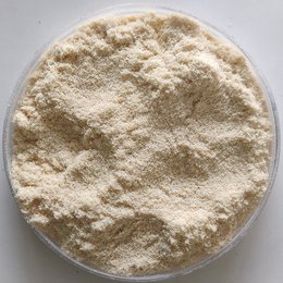 木粉91桃色下载安装